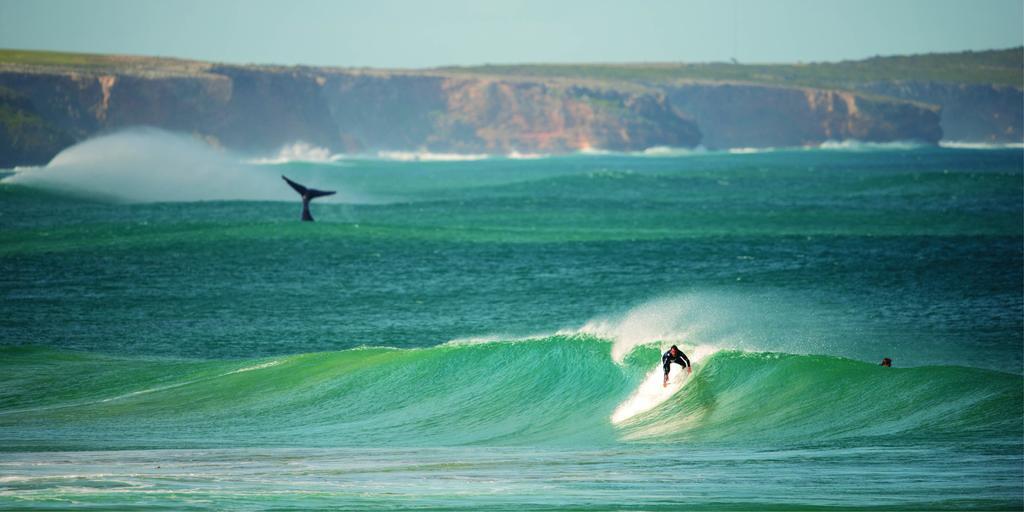 Warrnambool Motel And Holiday Park Εξωτερικό φωτογραφία